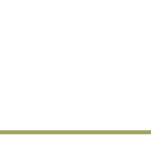 Eko Villa